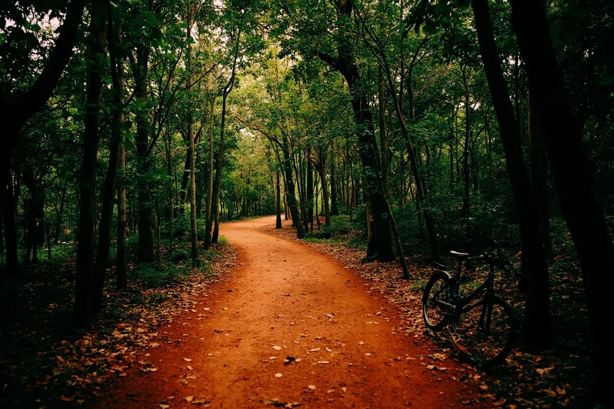 Shaded forest path through dense green trees near Auroville, Pondicherry